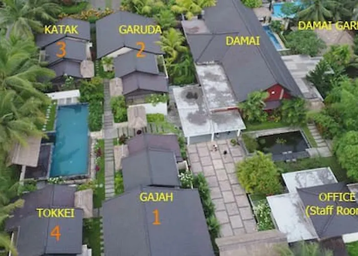 Damai